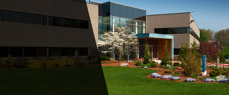 Suttons Bay Landscapers