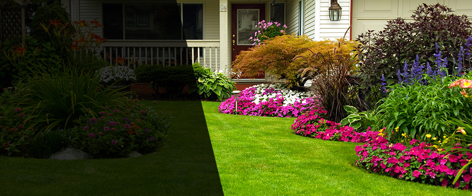 Suttons Bay Landscapers