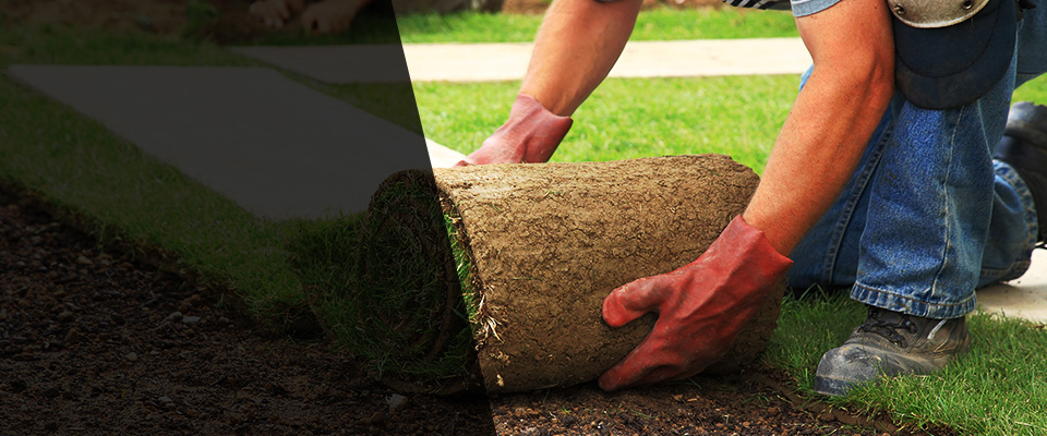 Suttons Bay Landscapers